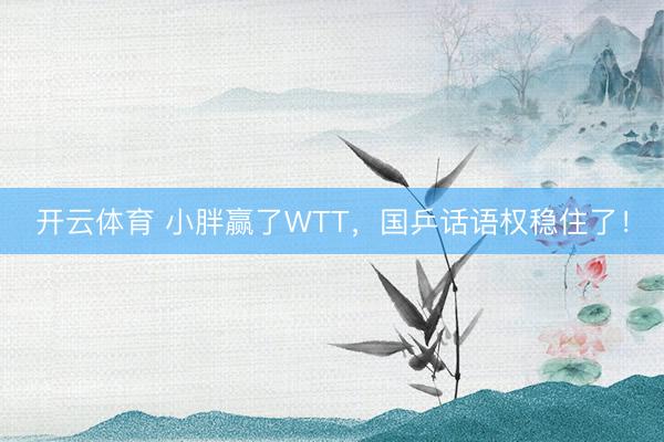 开云体育 小胖赢了WTT,国乒话语权稳住了!