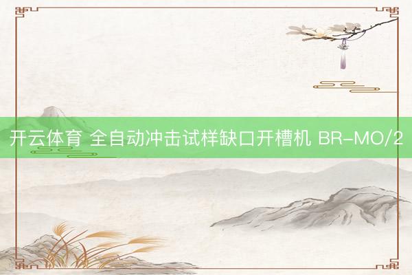 开云体育 全自动冲击试样缺口开槽机 BR-MO/2