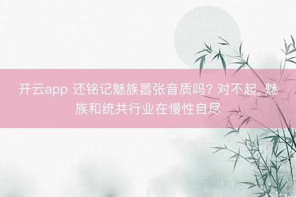 开云app 还铭记魅族嚣张音质吗? 对不起, 魅族和统共行业在慢性自尽