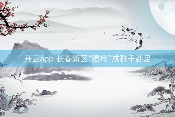 开云app 长春新区“瞪羚”成群干劲足
